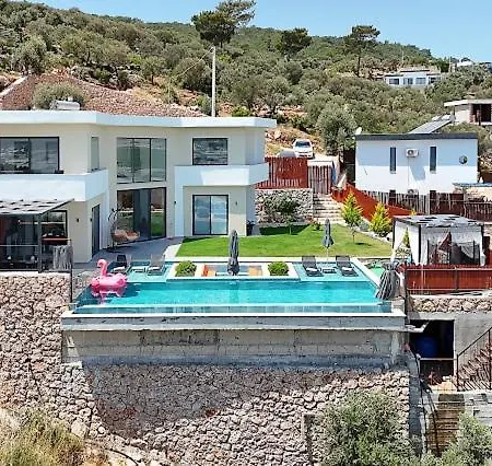 Luxury Modern With Private Pool 别墅 *